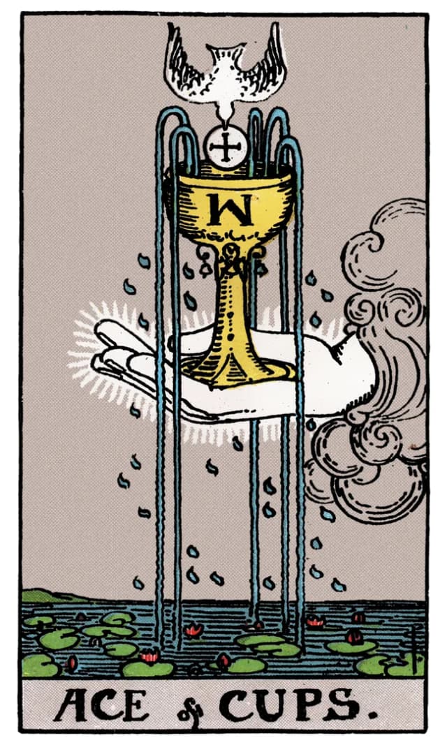 Kupa Ası Tarot Kartı