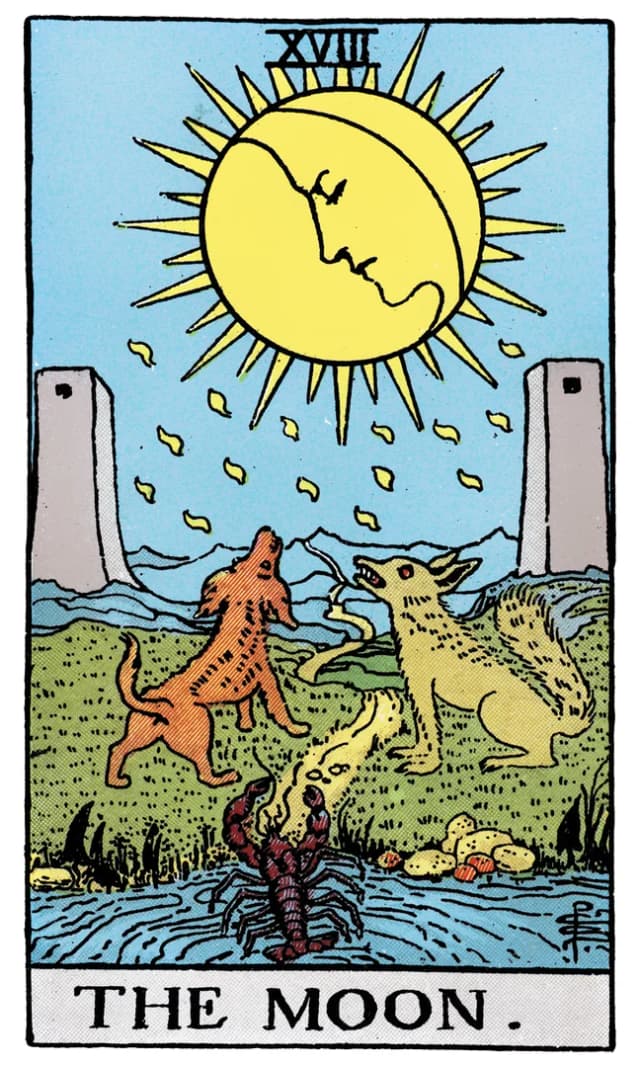 The Moon Tarot Card