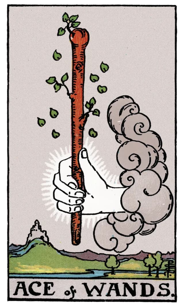 Asa Ası Tarot Kartı