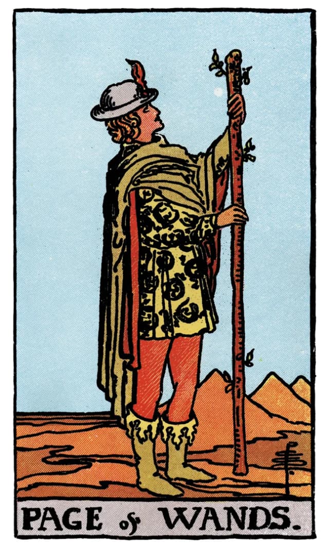 Asa Uşağı Tarot Kartı